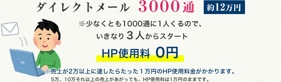 ダイレクトメール 3000通 約12万円